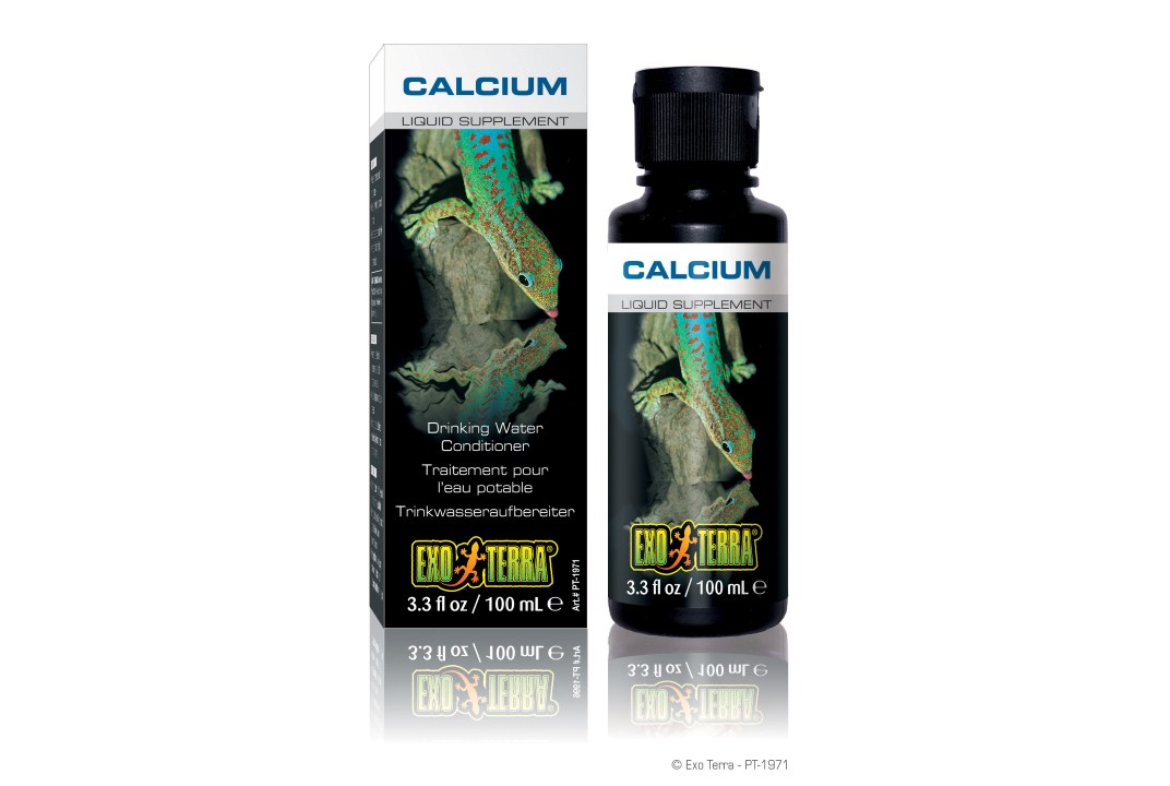 Water And Calcium