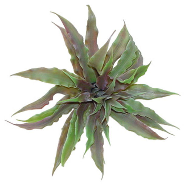 Lucky Reptile tillandsias are made of strong plastic and can be easily 