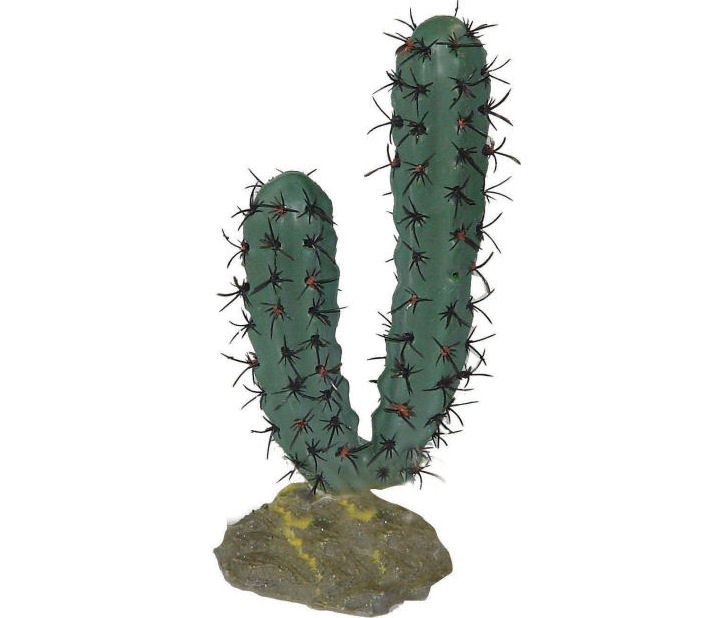 Lucky Reptile · Finger Cactus