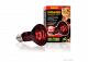 Red Night Spot Lamps