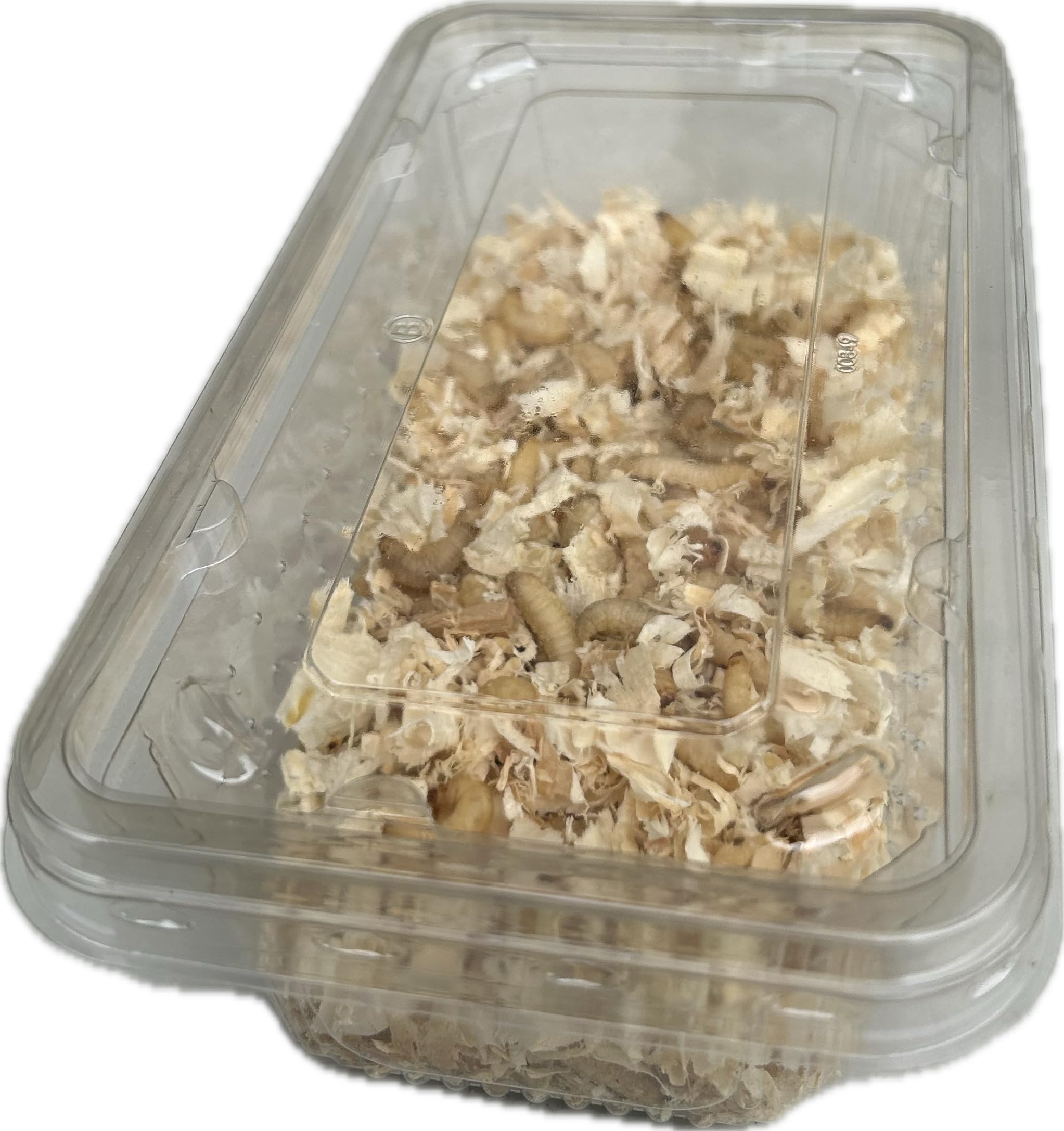 Livefood UK Live Waxworms