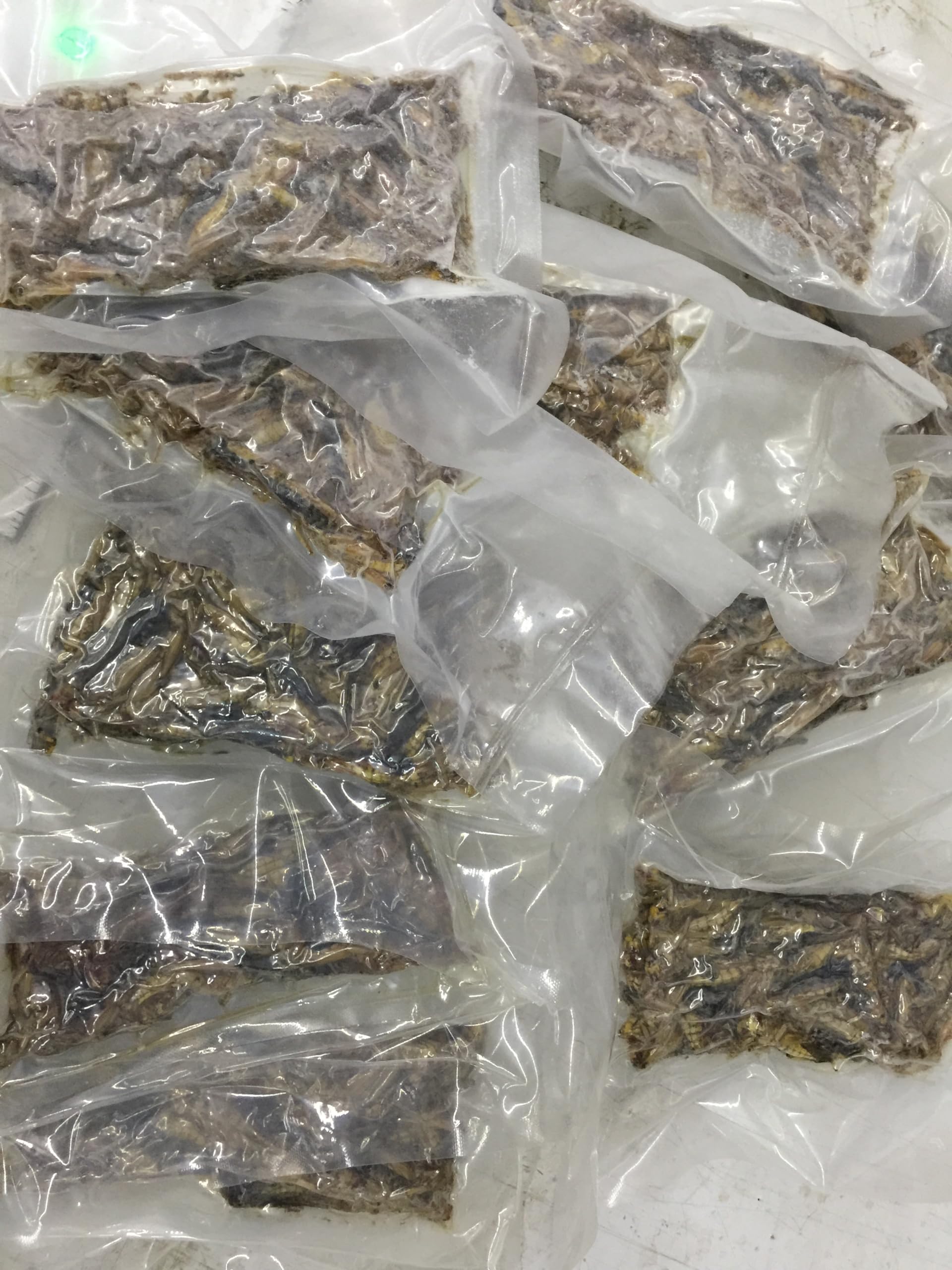 Livefood UK Vacuum Packed Adult Locusts