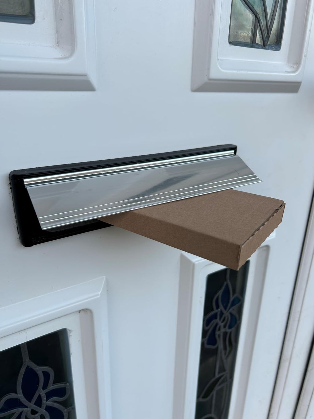 Live Fishing Bait 1 pint (300g) of Live Black Soldier Fly Maggots Parcel will fit through Letter box