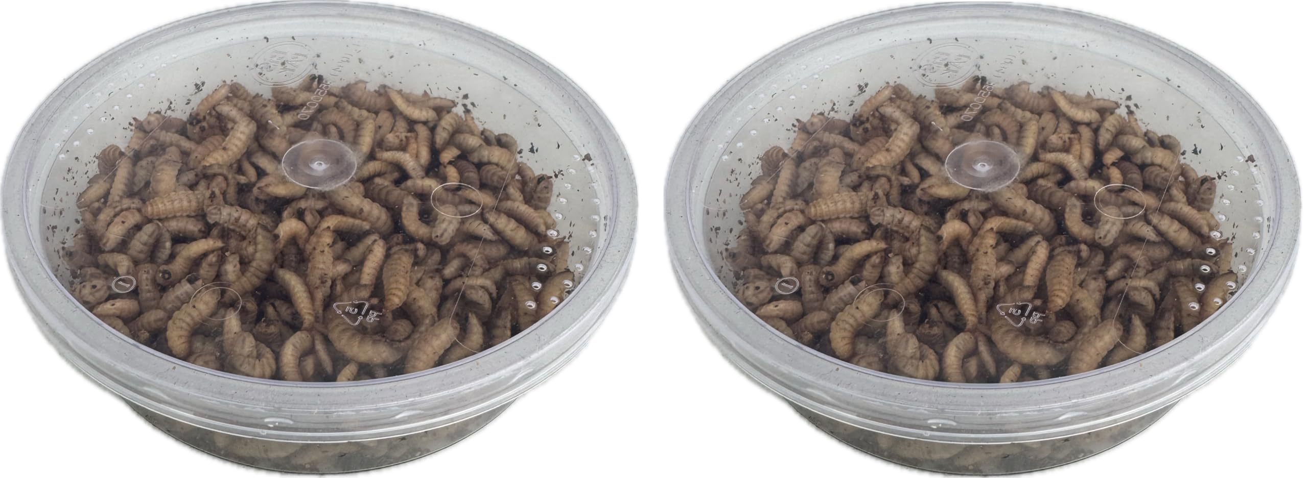 Livefood UK Live Calci Worms Available in tubs and bulk bags