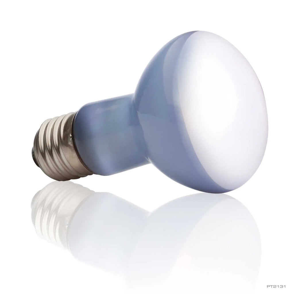 Exo-Terra Daylight Basking Spot