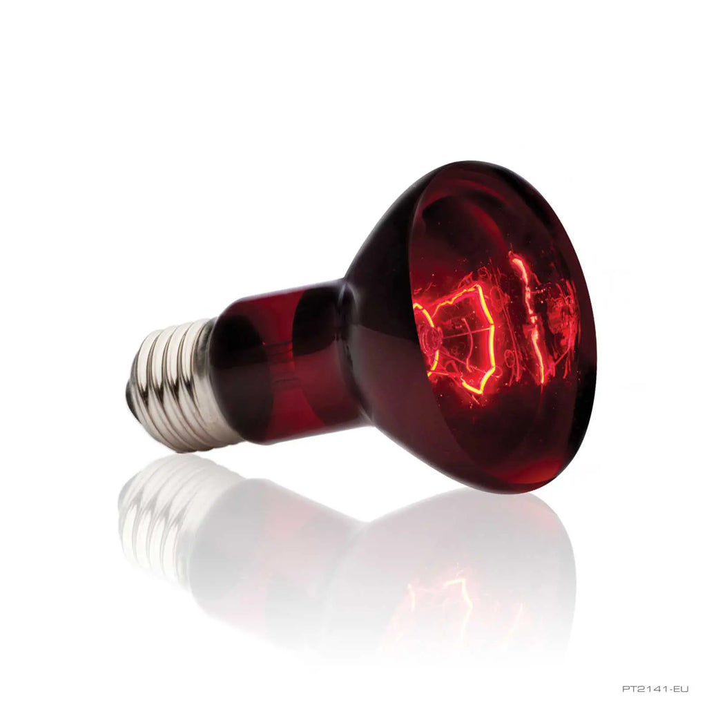 Exo Terra (Red) Infrared Basking Spot Lamp