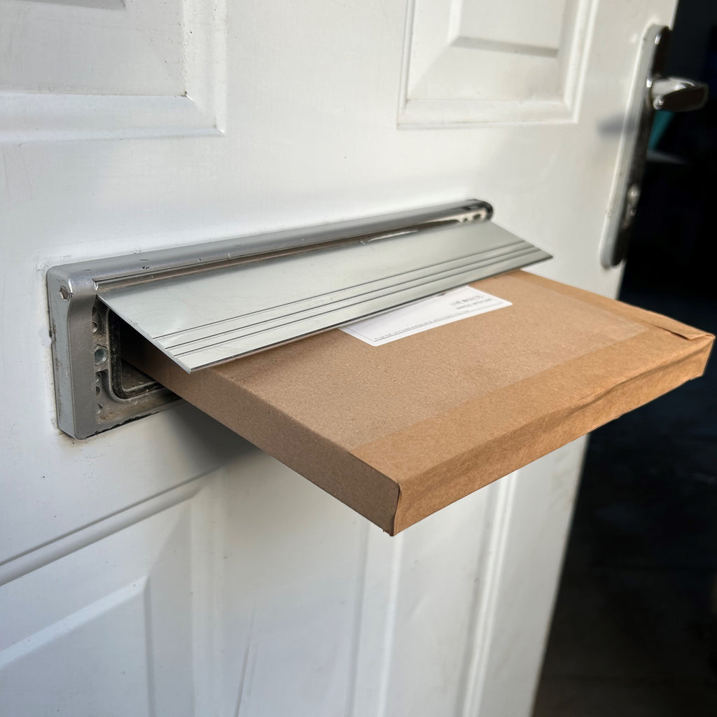 Livefood UK Live Locusts LETTERBOX MEGA PACK 25 Locusts Live Reptile Food