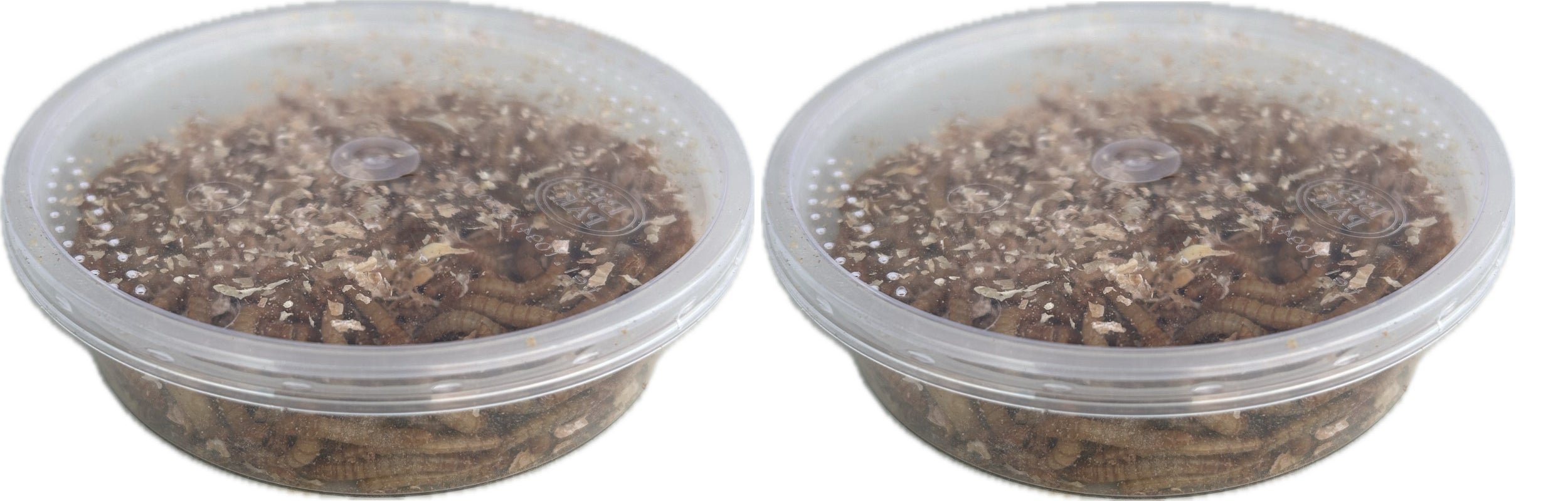 Live Mealworms Regular size available in tubs and bags