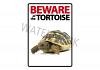 Beware of The Tortoise Sign